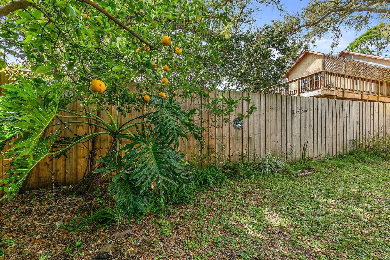 Orange Oasis - Walk To Historic District Βίλα St. Augustine Εξωτερικό φωτογραφία